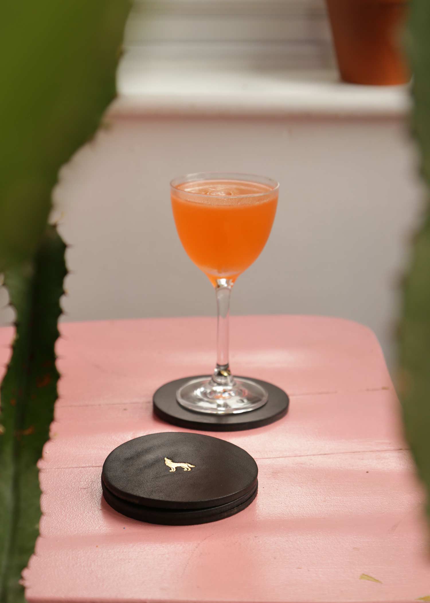 Coasters (set of 4)
