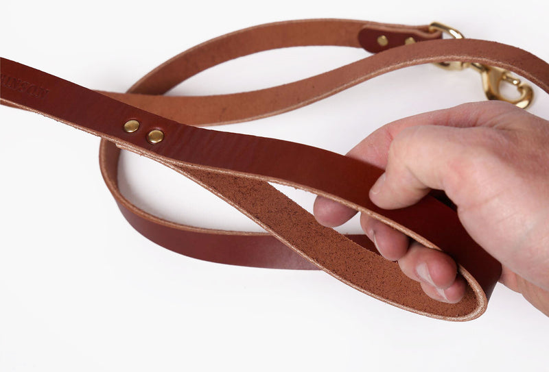Leather Dog Leash - Brown