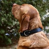 Dog Collar - black