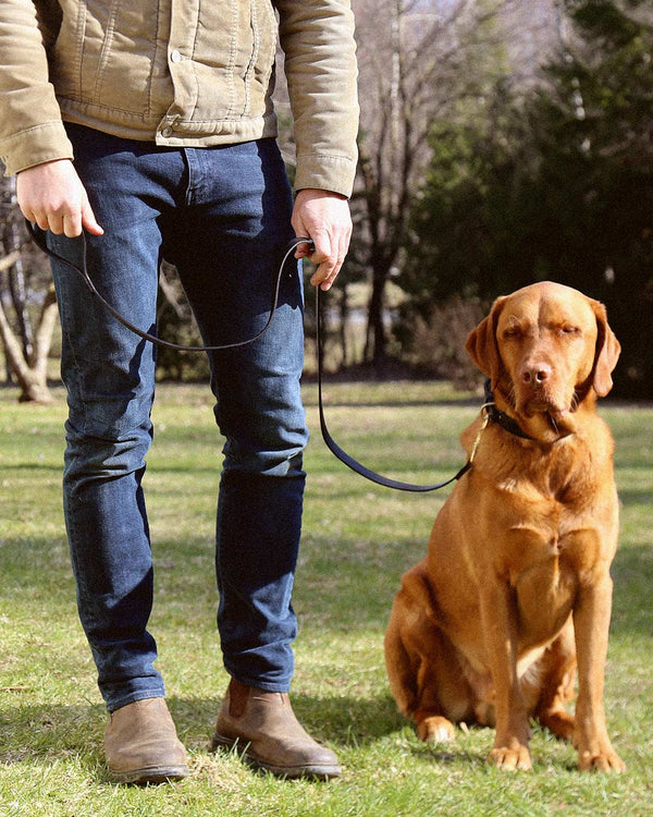 Leather Dog Leash - Black