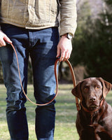 Leather Dog Leash - brown